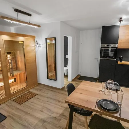 Renove Avec Vue Panoramique Et Sauna * Saas-Fee