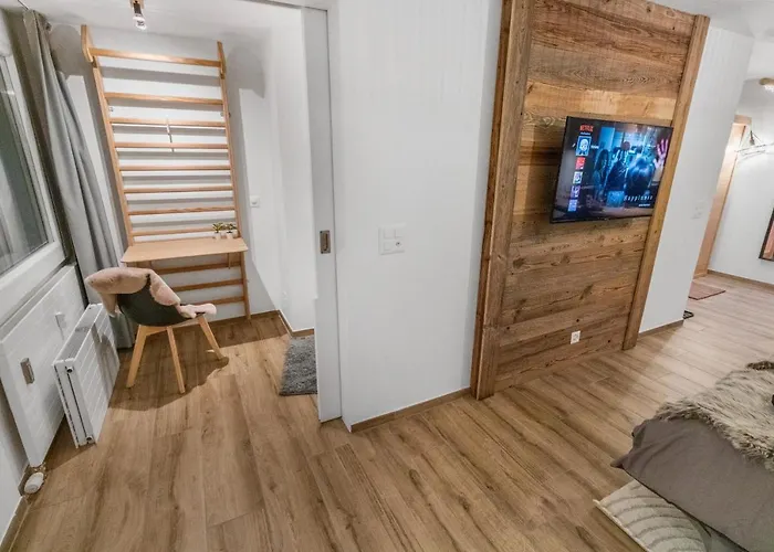 Διαμέρισμα Renove Avec Vue Panoramique Et Sauna Saas Fee